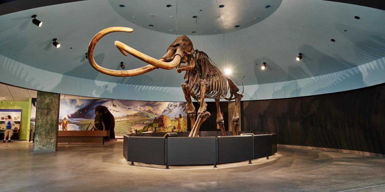 usc dinosaur museum